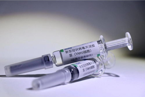预计最快今年底或明年初上市