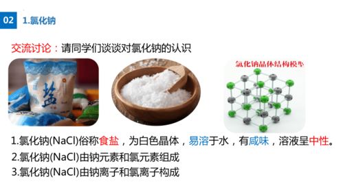 第1课时 盐的分类 常见的盐 物质溶解性规律 2022 2023学年九年级化学下册同步精品课件 人教版