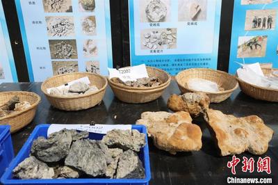 山东寿光现商周、唐宋盐业遗址