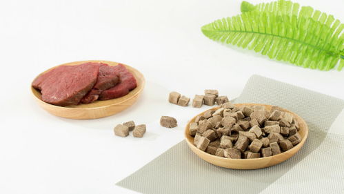 营养好吃不发胖,粮言冻干宠物食品了解一下