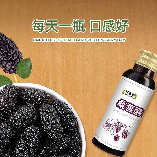 香港桑葚酵素植物饮品代加工定制