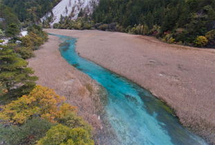 九寨沟 生态修复 中孕育美景